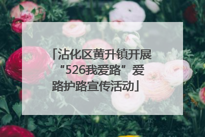 沾化区黄升镇开展“526我爱路”爱路护路宣传活动