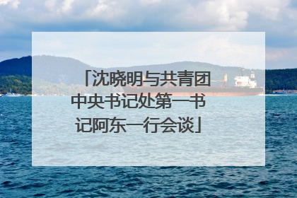 沈晓明与共青团中央书记处第一书记阿东一行会谈