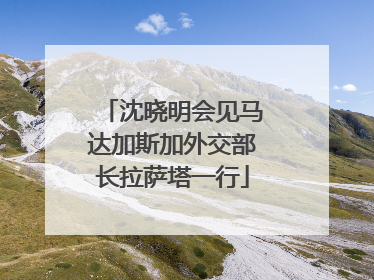 沈晓明会见马达加斯加外交部长拉萨塔一行