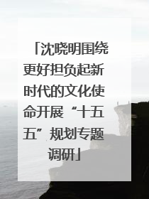 沈晓明围绕更好担负起新时代的文化使命开展“十五五”规划专题调研