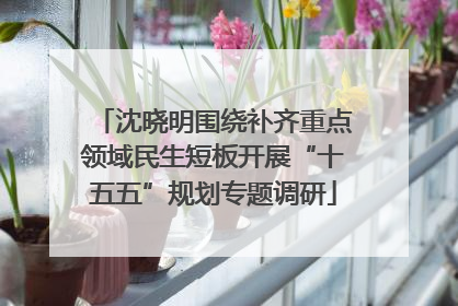 沈晓明围绕补齐重点领域民生短板开展“十五五”规划专题调研