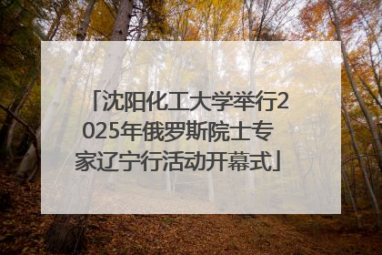 沈阳化工大学举行2025年俄罗斯院士专家辽宁行活动开幕式