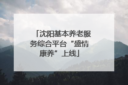 沈阳基本养老服务综合平台“盛情康养”上线