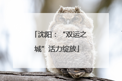 沈阳：“双运之城”活力绽放