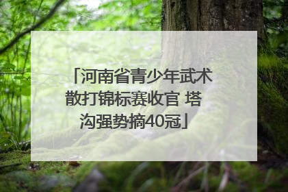 河南省青少年武术散打锦标赛收官 塔沟强势摘40冠