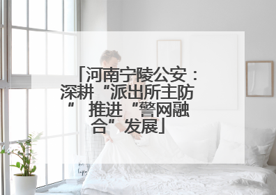 河南宁陵公安：深耕“派出所主防” 推进“警网融合”发展
