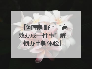 河南新野：“高效办成一件事”解锁办事新体验