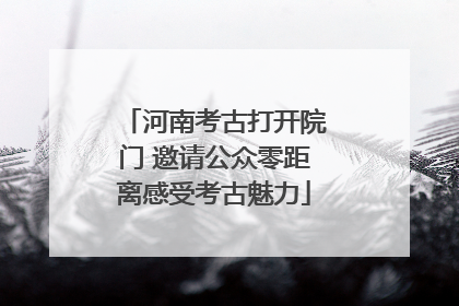 河南考古打开院门 邀请公众零距离感受考古魅力