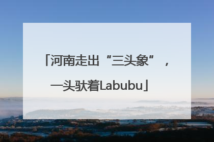 河南走出“三头象”，一头驮着Labubu