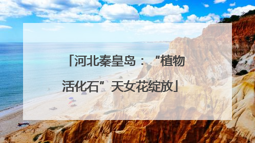 河北秦皇岛：“植物活化石”天女花绽放