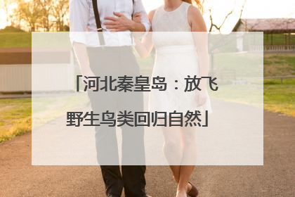 河北秦皇岛：放飞野生鸟类回归自然