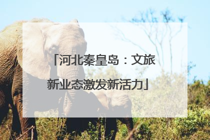 河北秦皇岛：文旅新业态激发新活力