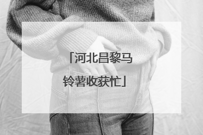 河北昌黎马铃薯收获忙