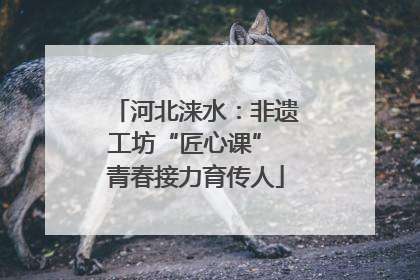 河北涞水：非遗工坊“匠心课” 青春接力育传人