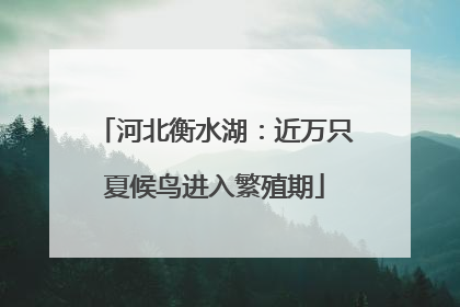 河北衡水湖：近万只夏候鸟进入繁殖期