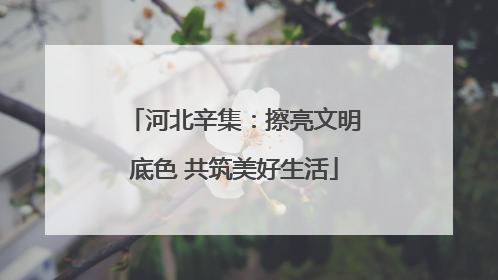 河北辛集：擦亮文明底色 共筑美好生活