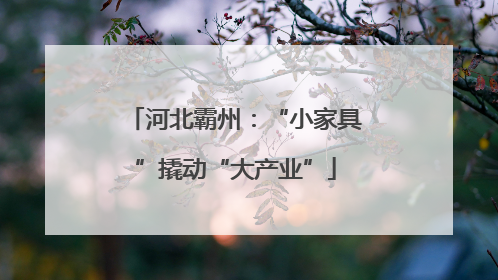 河北霸州：“小家具”撬动“大产业”