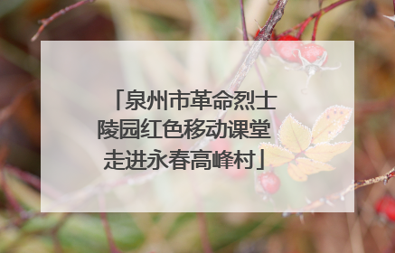 泉州市革命烈士陵园红色移动课堂走进永春高峰村