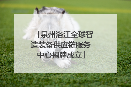泉州洛江全球智造装备供应链服务中心揭牌成立
