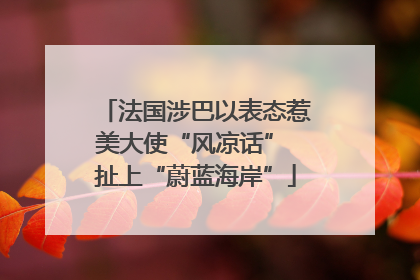 法国涉巴以表态惹美大使“风凉话” 扯上“蔚蓝海岸”