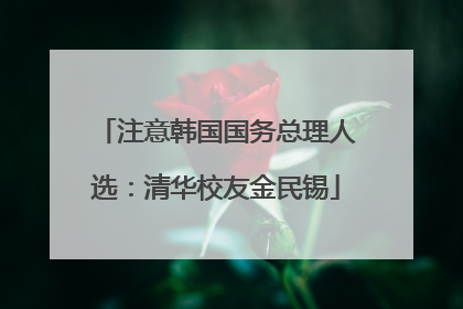 注意韩国国务总理人选：清华校友金民锡