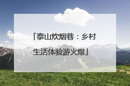 泰山炊烟巷：乡村生活体验游火爆