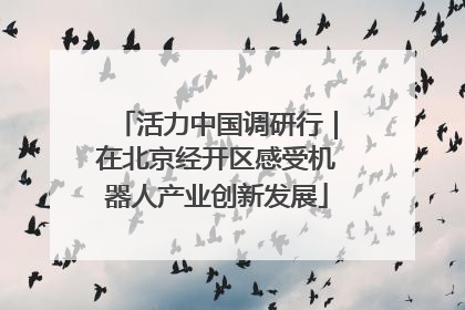 活力中国调研行｜在北京经开区感受机器人产业创新发展