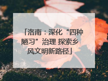 洛南：深化“四种陋习”治理 探索乡风文明新路径
