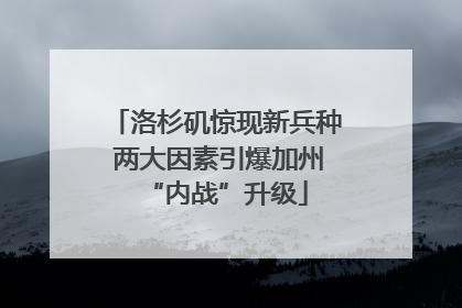 洛杉矶惊现新兵种 两大因素引爆加州“内战”升级