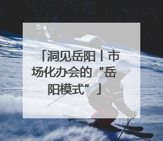 洞见岳阳丨市场化办会的“岳阳模式”