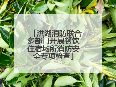洪湖消防联合多部门开展餐饮住宿场所消防安全专项检查