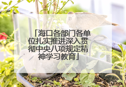 海口各部门各单位扎实推进深入贯彻中央八项规定精神学习教育