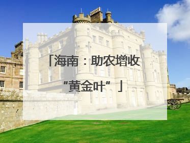 海南：助农增收 “黄金叶”