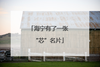 海宁有了一张“芯”名片