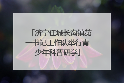 济宁任城长沟镇第一书记工作队举行青少年科普研学