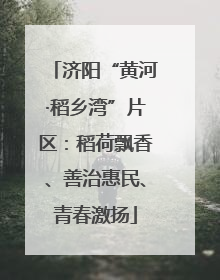 济阳“黄河·稻乡湾”片区：稻荷飘香、善治惠民、青春激扬