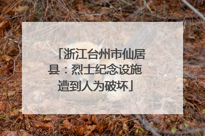 浙江台州市仙居县：烈士纪念设施遭到人为破坏