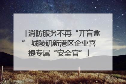 消防服务不再“开盲盒” 城陵矶新港区企业喜提专属“安全官”