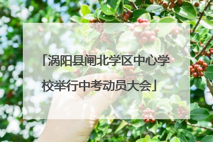 涡阳县闸北学区中心学校举行中考动员大会