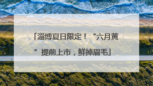 淄博夏日限定！“六月黄”提前上市，鲜掉眉毛