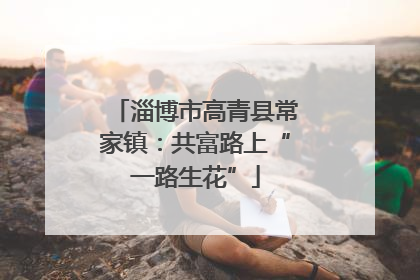 淄博市高青县常家镇：共富路上“一路生花”