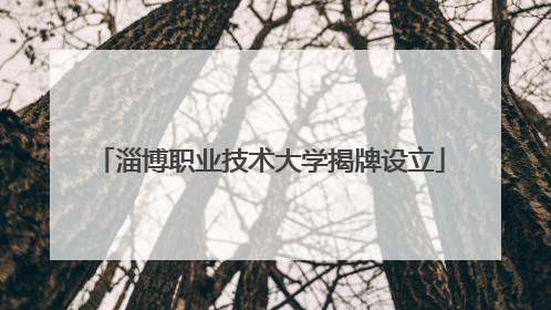 淄博职业技术大学揭牌设立