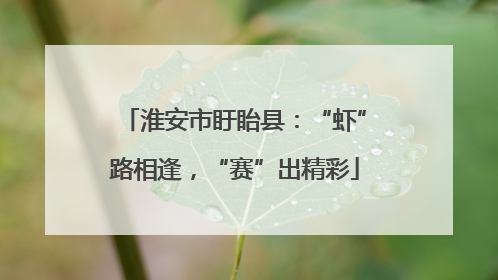 淮安市盱眙县：“虾”路相逢，“赛”出精彩