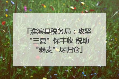 淮滨县税务局：攻坚“三夏”保丰收 税助“弱麦”尽归仓