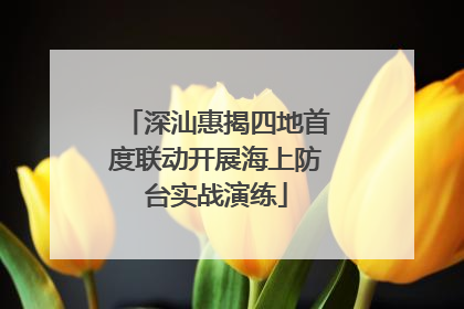 深汕惠揭四地首度联动开展海上防台实战演练