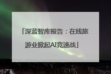 深蓝智库报告：在线旅游业掀起AI竞速战