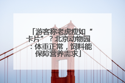 游客称老虎瘦如“卡片”？北京动物园：体重正常，饲料能保障营养需求