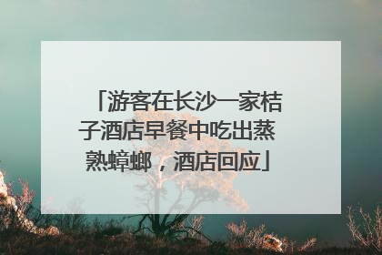 游客在长沙一家桔子酒店早餐中吃出蒸熟蟑螂，酒店回应