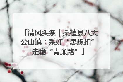 清风头条｜桑植县八大公山镇：系好“思想扣” 走稳“青廉路”