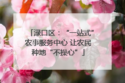 渌口区：“一站式”农事服务中心 让农民种地“不操心”